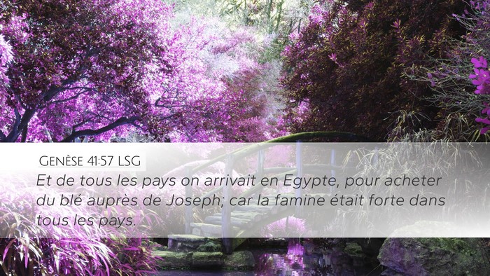 Genèse 41:57 LSG Bible Verse Image