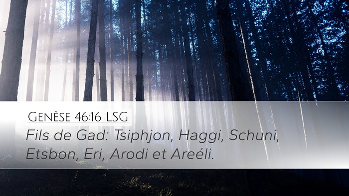 Genèse 46:16 LSG Bible Verse Image