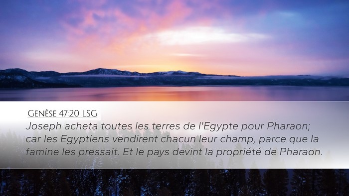 Genèse 47:20 LSG Desktop Wallpaper - Joseph acheta toutes les terres de l'Egypte pour - Desktop Bible Verse Wallpaper