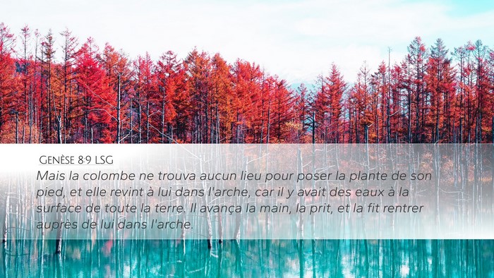 Genèse 8:9 LSG Bible Verse Image