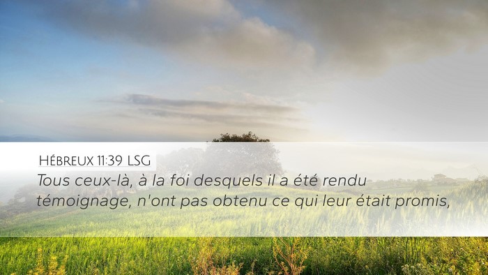 Hébreux 11:39 LSG Bible Verse Image