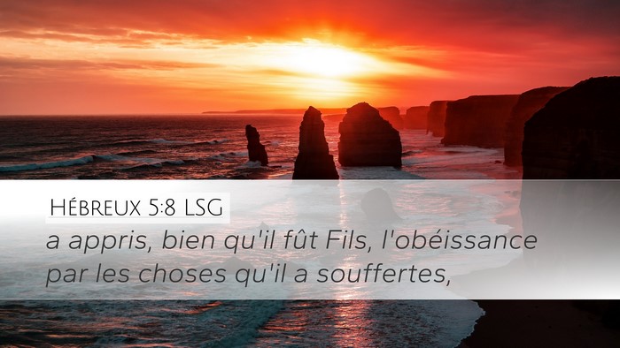 Hébreux 5:8 LSG Bible Verse Image