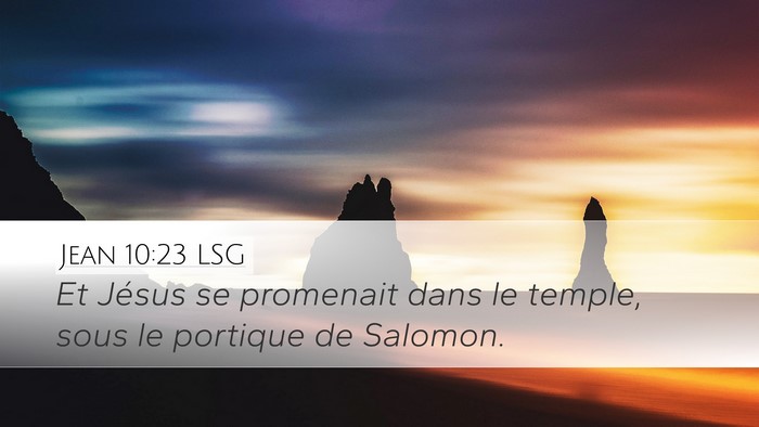 Jean 10:23 LSG Bible Verse Image