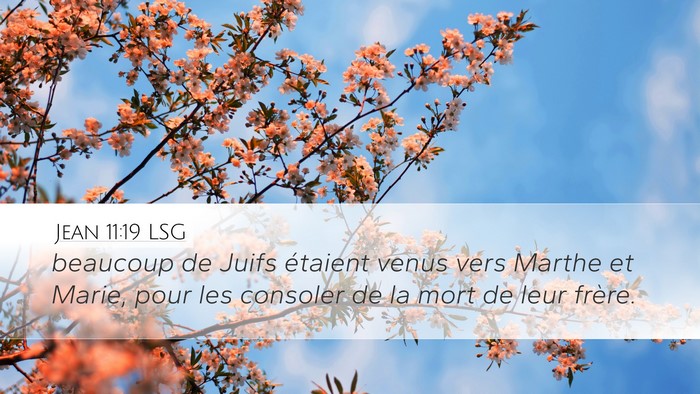 Jean 11:19 LSG Bible Verse Image