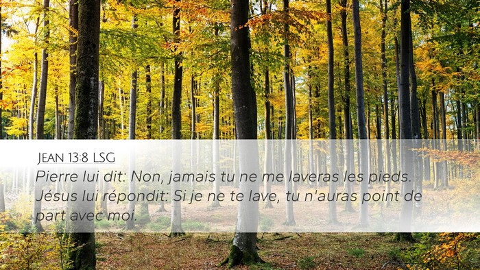 Jean 13:8 LSG Bible Verse Image