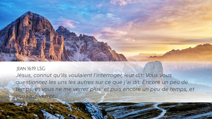 Jean 16:19 LSG Bible Verse Image