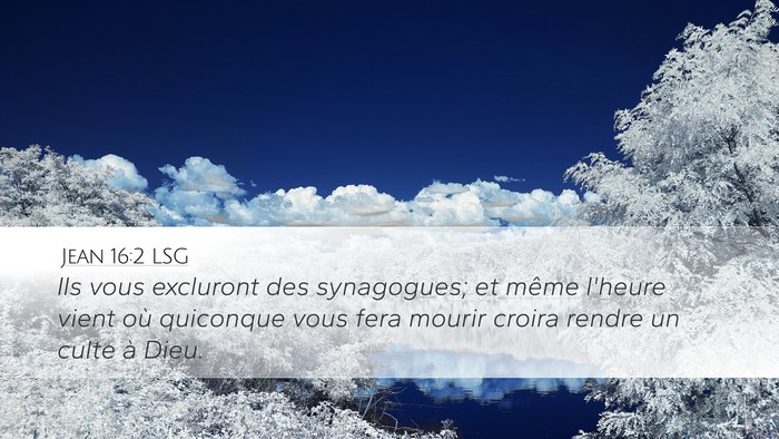 Jean 16:2 LSG Bible Verse Image
