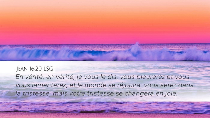 Jean 16:20 LSG Bible Verse Image