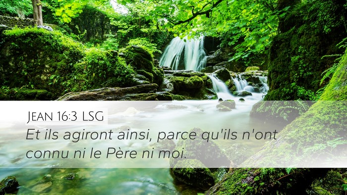 Jean 16:3 LSG Bible Verse Image