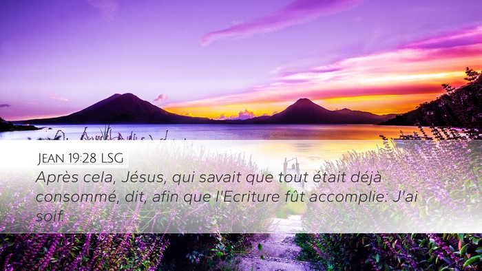 Jean 19:28 LSG Bible Verse Image