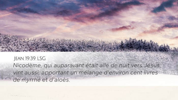 Jean 19:39 LSG Bible Verse Image