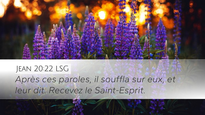 Jean 20:22 LSG Bible Verse Image