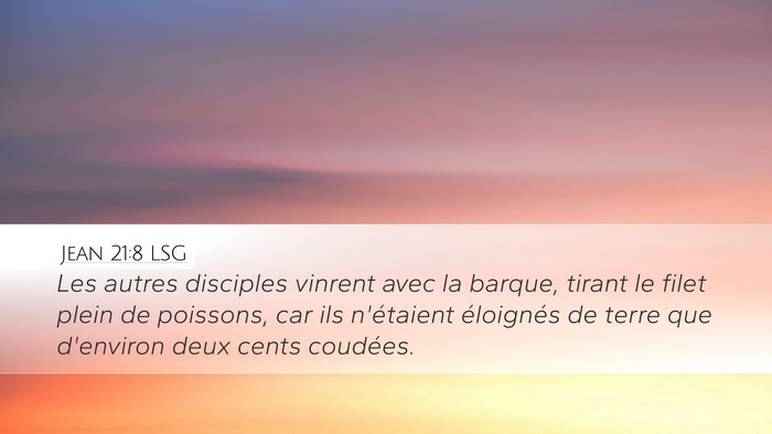 Jean 21:8 LSG Bible Verse Image