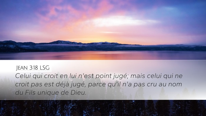 Jean 3:18 LSG Bible Verse Image