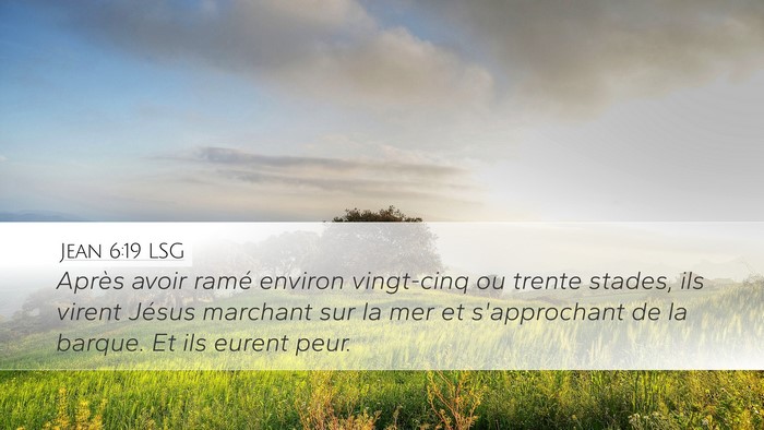Jean 6:19 LSG Bible Verse Image