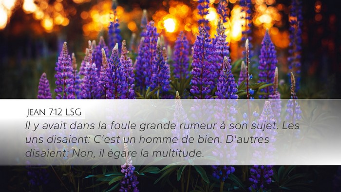 Jean 7:12 LSG Bible Verse Image