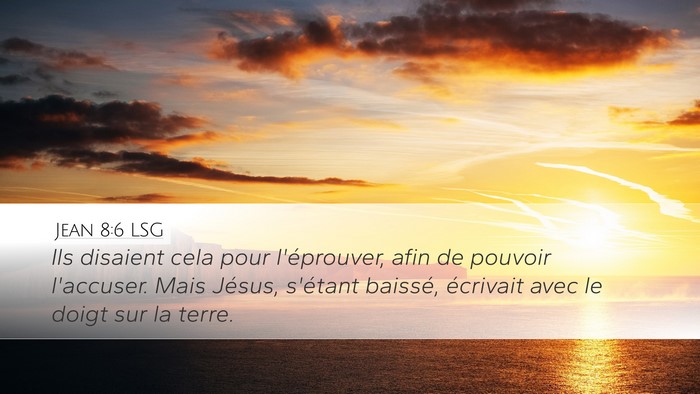 Jean 8:6 LSG Bible Verse Image