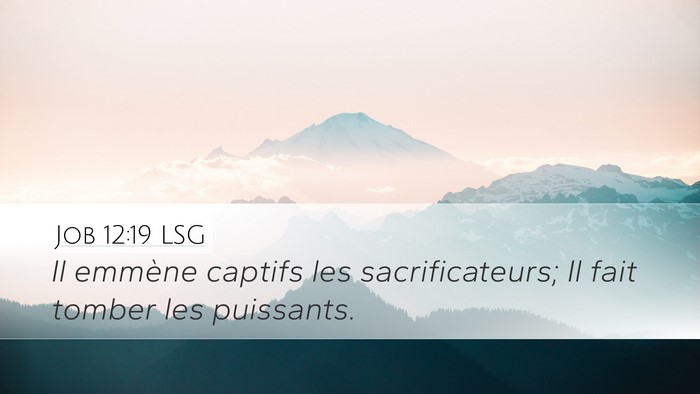 Job 12:19 LSG Bible Verse Image