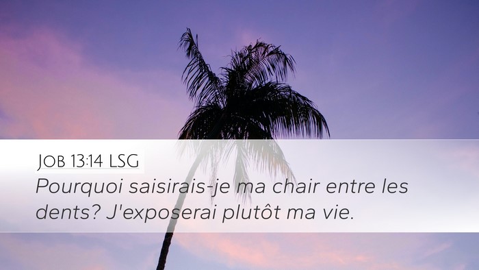 Job 13:14 LSG Bible Verse Image