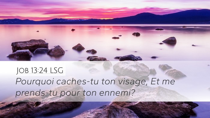 Job 13:24 LSG Bible Verse Image