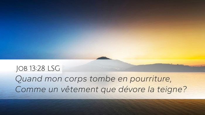 Job 13:28 LSG Bible Verse Image
