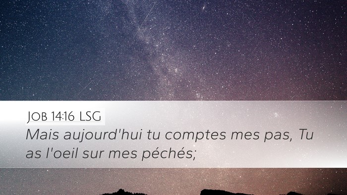 Job 14:16 LSG Bible Verse Image