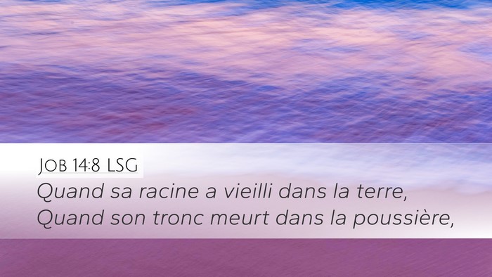 Job 14:8 LSG Desktop Wallpaper - Quand sa racine a vieilli dans la terre, Quand - Desktop Bible Verse Wallpaper