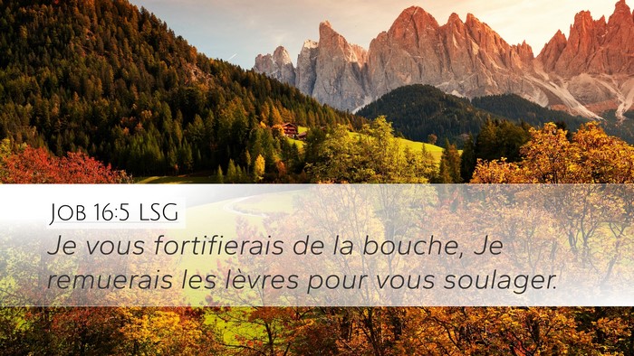 Job 16:5 LSG Bible Verse Image