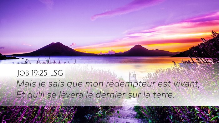 Job 19:25 LSG Bible Verse Image