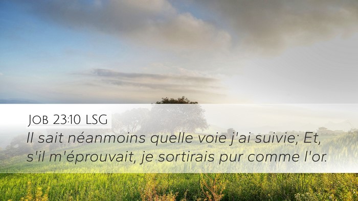 Job 23:10 LSG Bible Verse Image