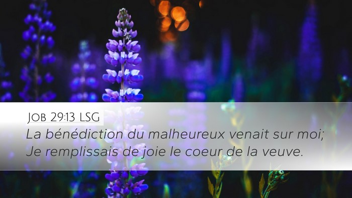 Job 29:13 LSG Bible Verse Image
