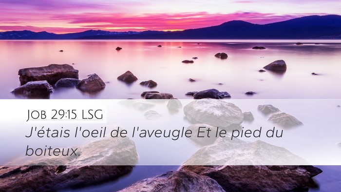 Job 29:15 LSG Bible Verse Image