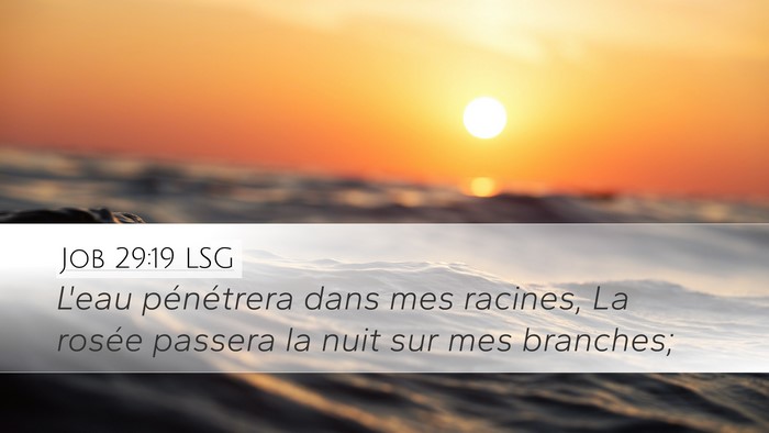 Job 29:19 LSG Bible Verse Image