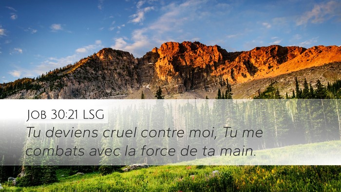 Job 30:21 LSG Bible Verse Image