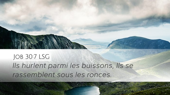 Job 30:7 LSG Desktop Wallpaper - Ils hurlent parmi les buissons, Ils se - Desktop Bible Verse Wallpaper