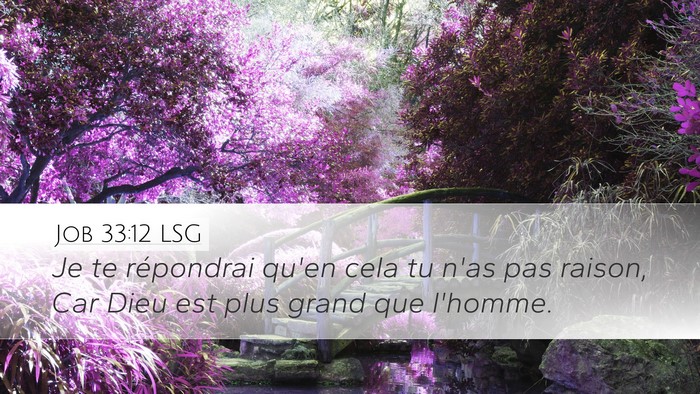 Job 33:12 LSG Bible Verse Image