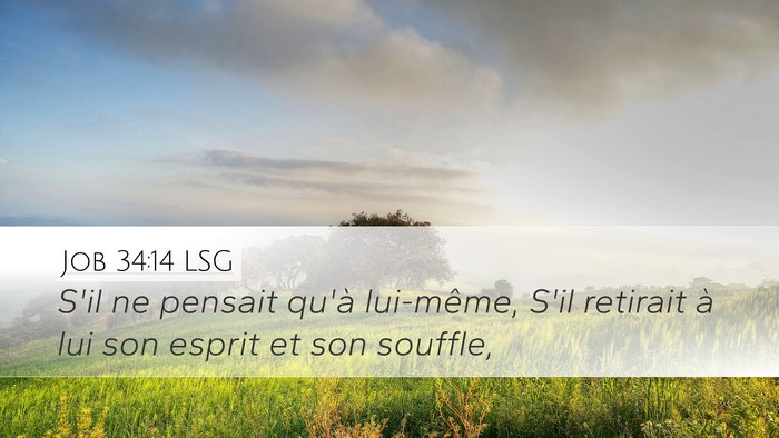 Job 34:14 LSG Bible Verse Image