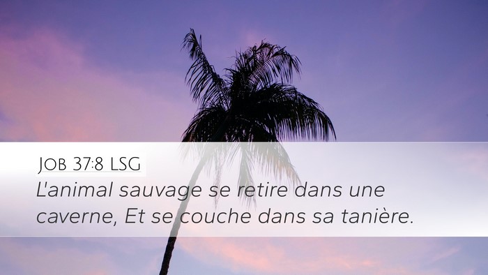 Job 37:8 LSG Desktop Wallpaper - L'animal sauvage se retire dans une caverne, Et - Desktop Bible Verse Wallpaper