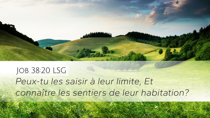 Job 38:20 LSG Desktop Wallpaper - Peux-tu les saisir à leur limite, Et connaître - Desktop Bible Verse Wallpaper