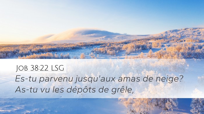 Job 38:22 LSG Bible Verse Image