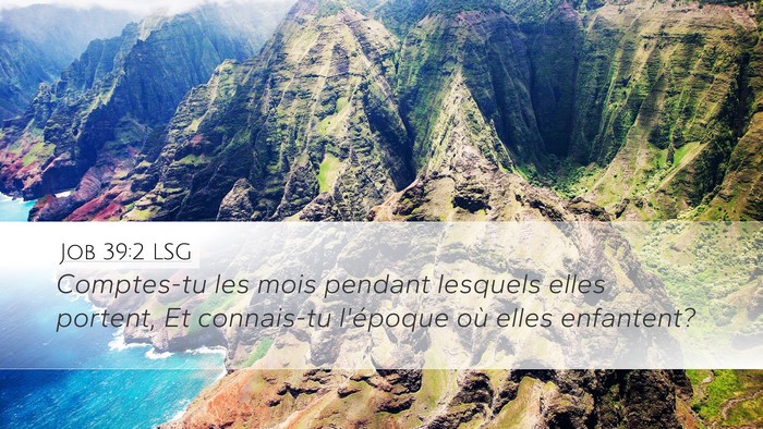 Job 39:2 LSG Desktop Wallpaper - Comptes-tu les mois pendant lesquels elles - Desktop Bible Verse Wallpaper