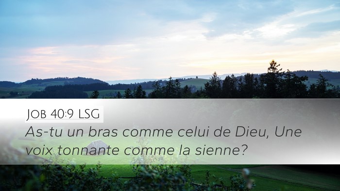 Job 40:9 LSG Bible Verse Image