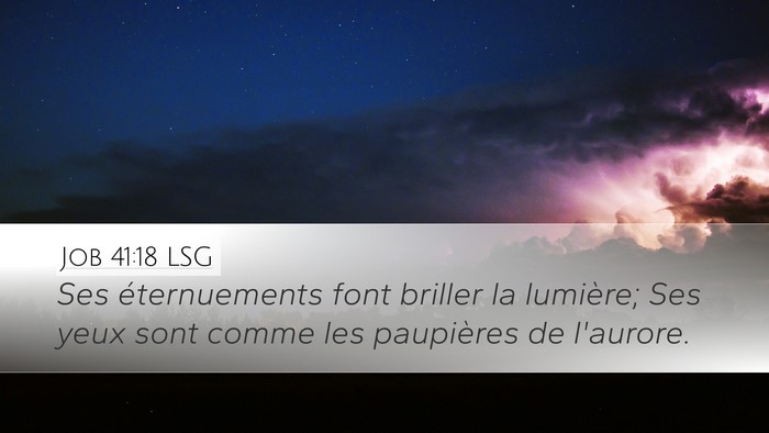 Job 41:18 LSG Desktop Wallpaper - Ses éternuements font briller la lumière; Ses - Desktop Bible Verse Wallpaper