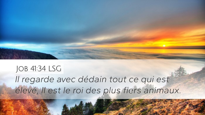 Job 41:34 LSG Desktop Wallpaper - Il regarde avec dédain tout ce qui est élevé, - Desktop Bible Verse Wallpaper