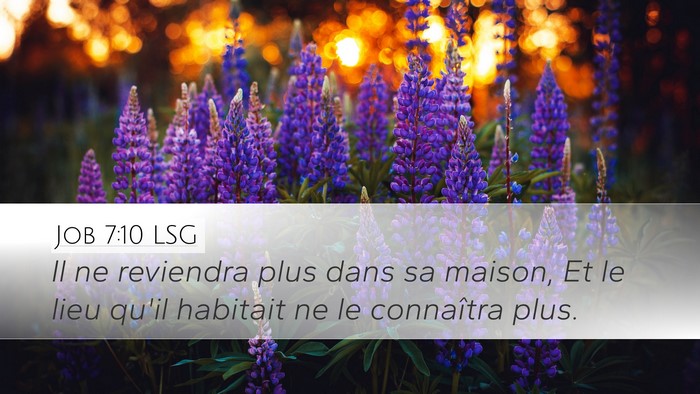 Job 7:10 LSG Bible Verse Image