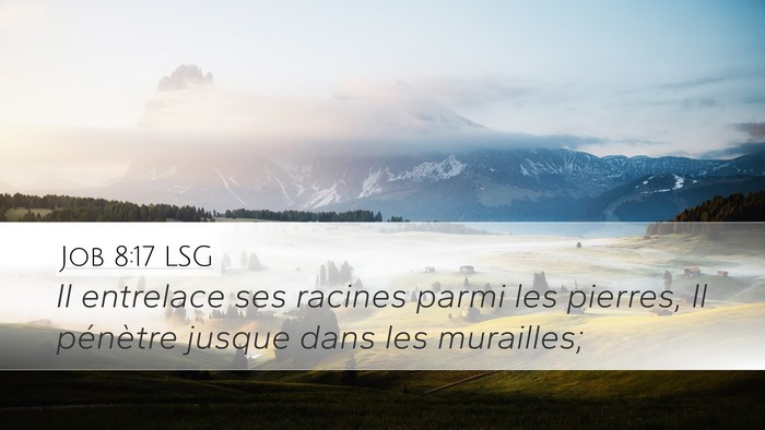 Job 8:17 LSG Desktop Wallpaper - Il entrelace ses racines parmi les pierres, Il - Desktop Bible Verse Wallpaper