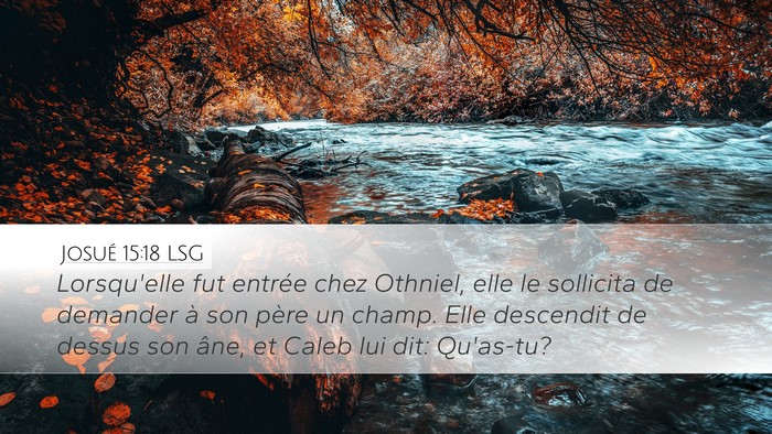 Josué 15:18 LSG Bible Verse Image