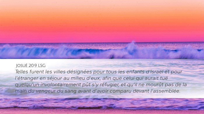 Josué 20:9 LSG Bible Verse Image