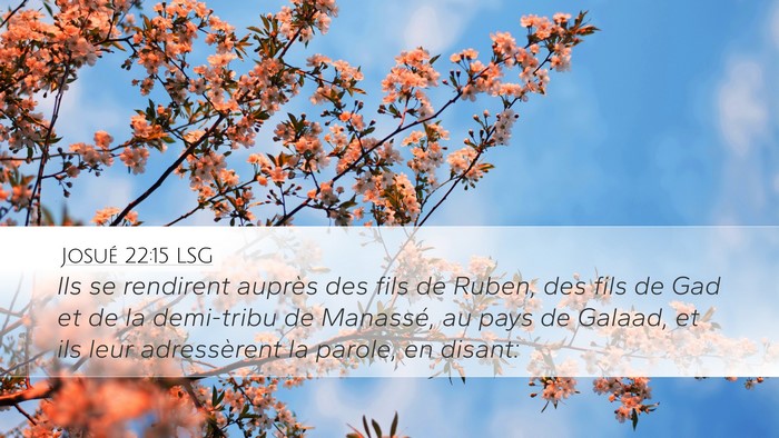 Josué 22:15 LSG Desktop Wallpaper - Ils se rendirent auprès des fils de Ruben, des - Desktop Bible Verse Wallpaper