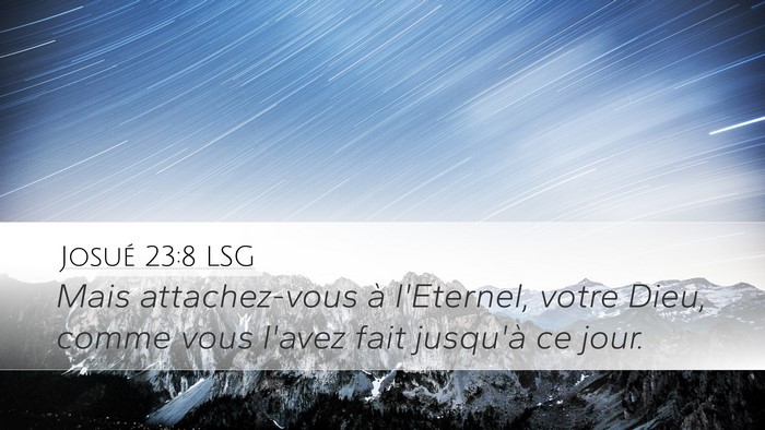 Josué 23:8 LSG Bible Verse Image